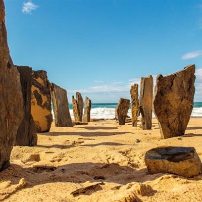 咪乐官方下载入口